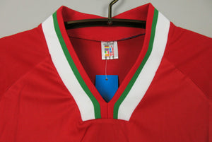 Camiseta aretro Bulgaria Stoichkov Año 1994