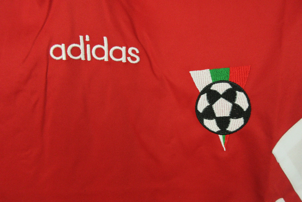 Camiseta aretro Bulgaria Stoichkov Año 1994